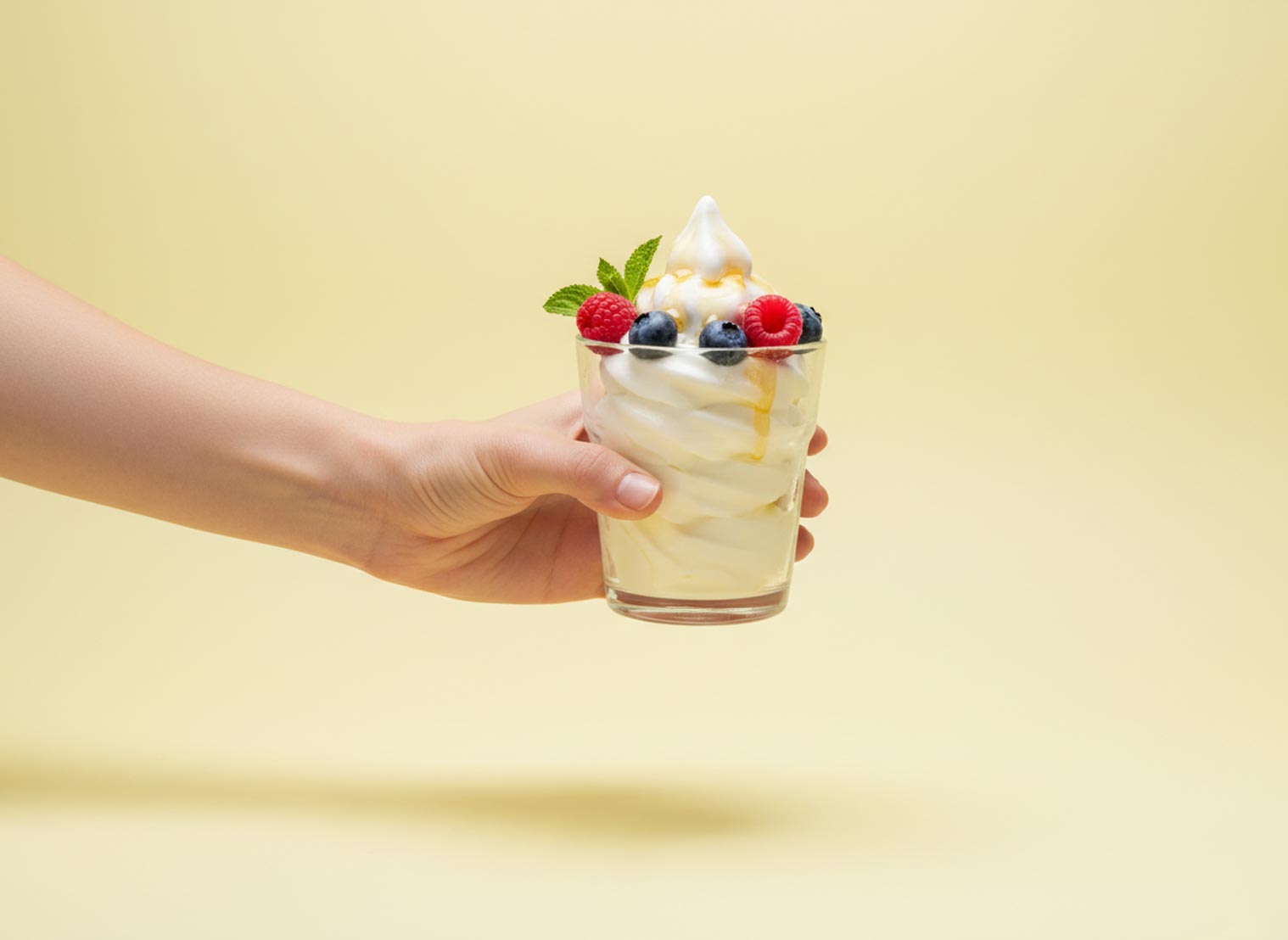 Hyra frozen yoghurt maskin